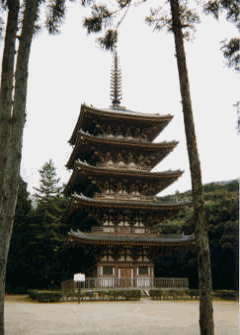 １１